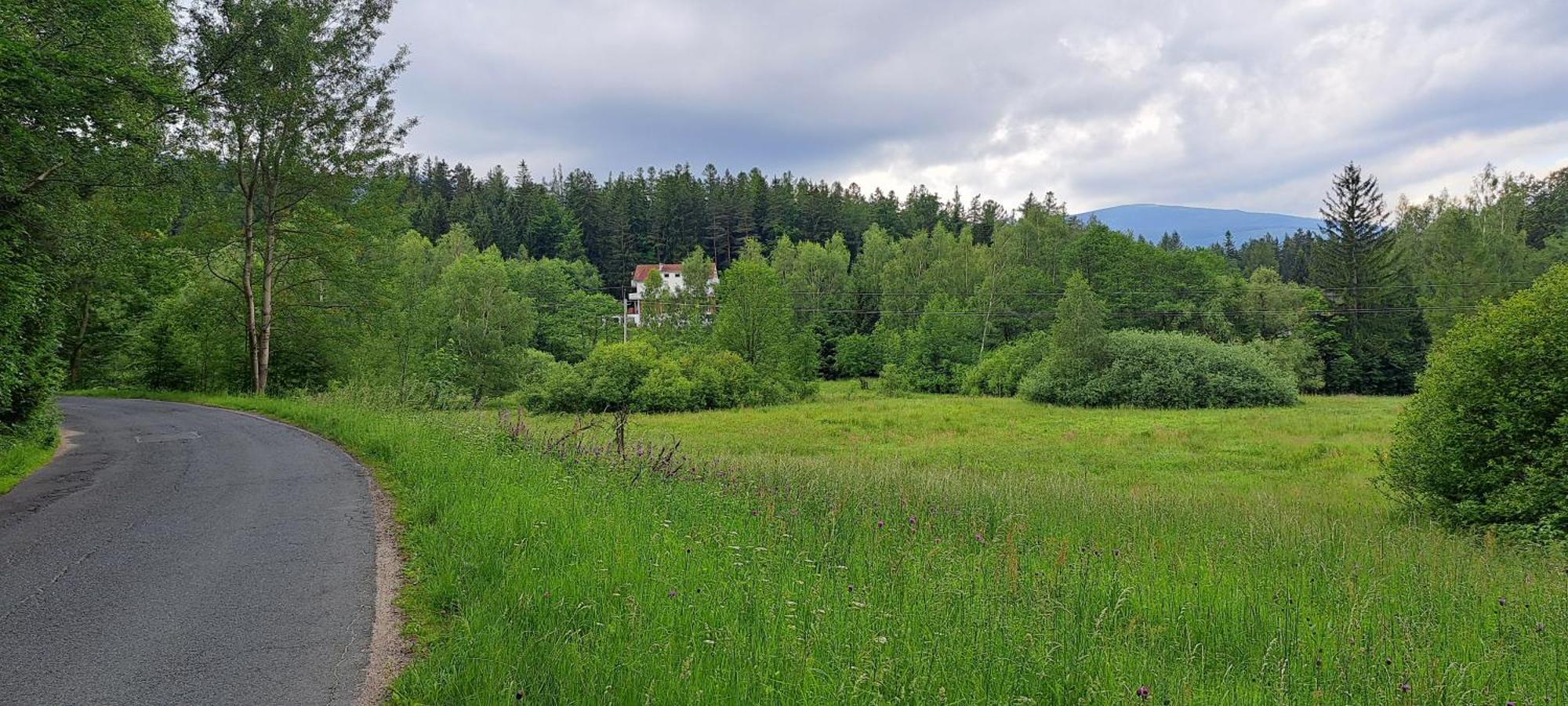 Bed and Breakfast Gorskie Zacisze Borowice Exterior foto