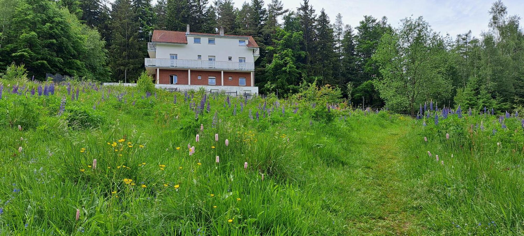 Bed and Breakfast Gorskie Zacisze Borowice Exterior foto